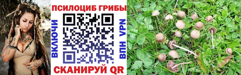Галлюциногенные грибы мухоморы  Ковдор 
